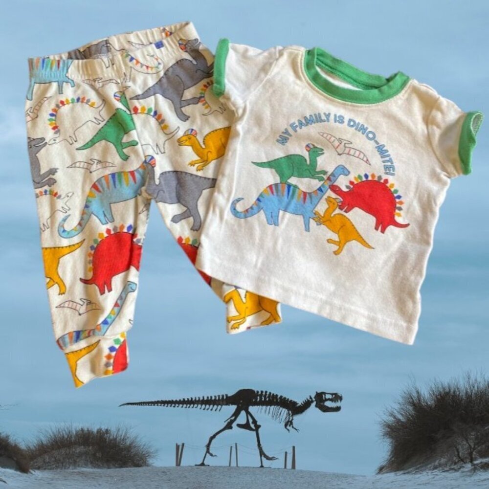 2pc The Children's Place Dinosaur Cotton Pant Set